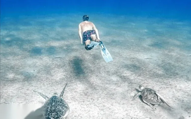 Abu Dabbab Zeeschildpadden-snorkeltocht — view 4