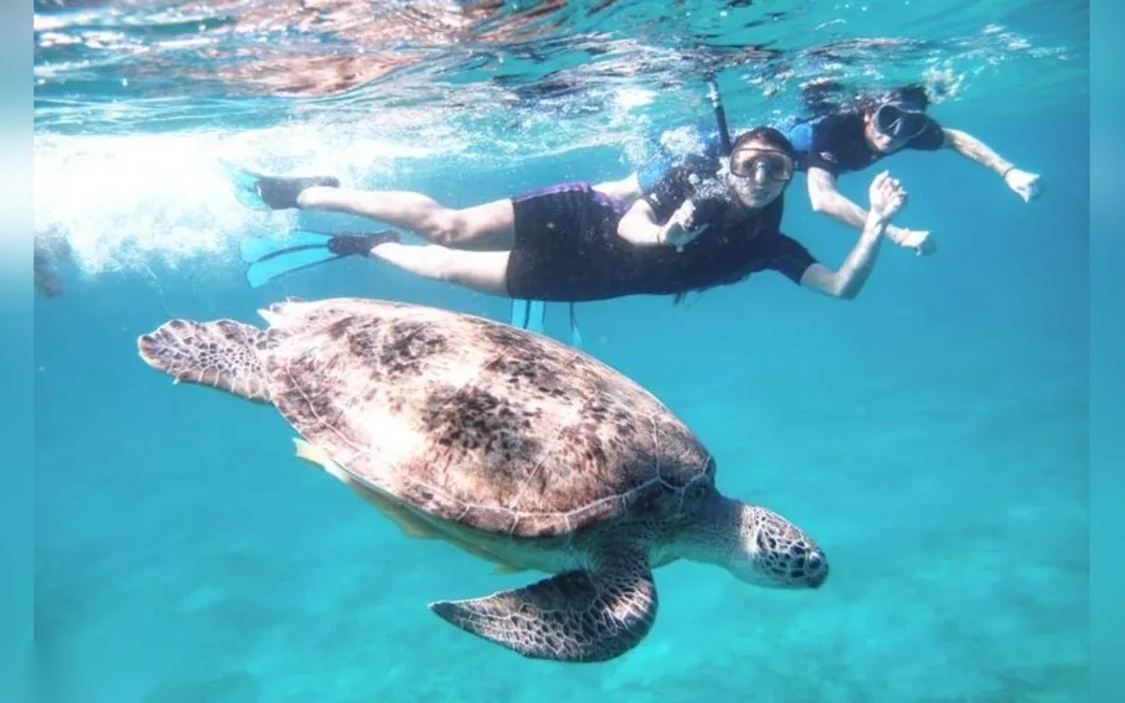 Abu Dabbab Zeeschildpadden-snorkeltocht — view 5
