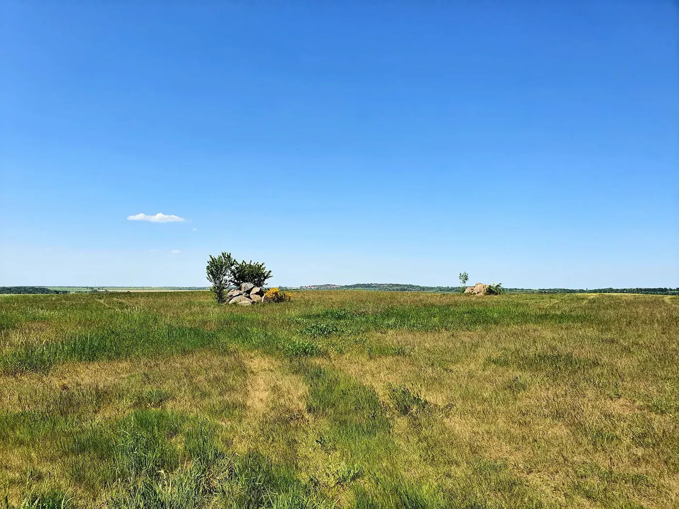Black Desert & Crystal Mountain Day Trip — view 2