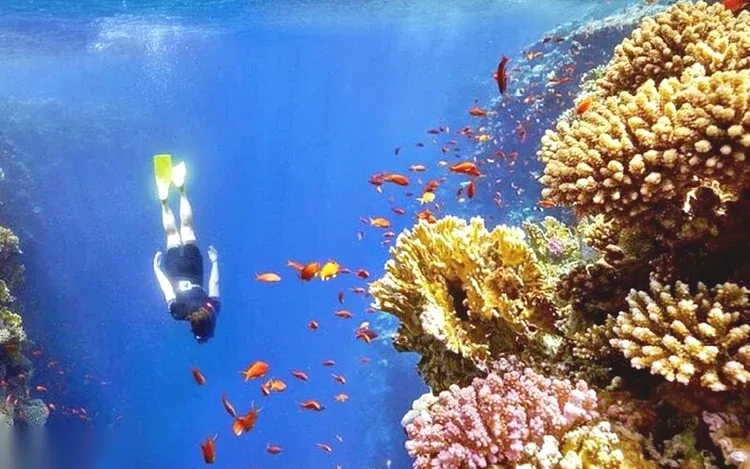 Blue Hole & Colored Canyon Snorkel Dagtour — view 2