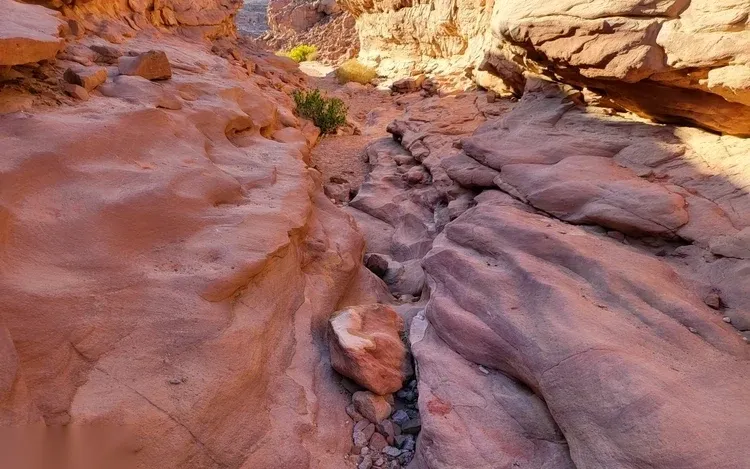 Blue Hole & Colored Canyon Snorkel Dagtour — view 3