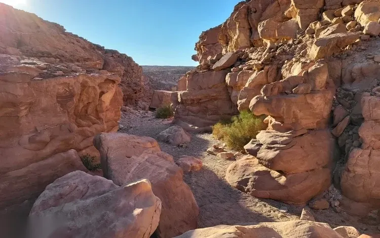 Blue Hole & Colored Canyon Snorkel Dagtour — view 5