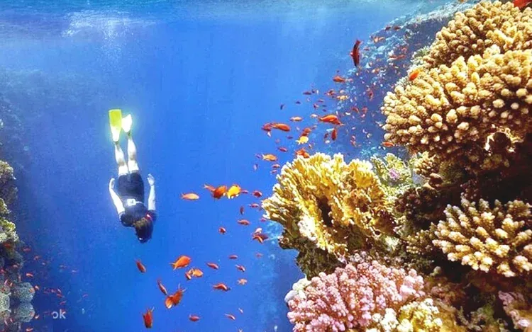 Dahab & Blue Hole Day Trip — view 3