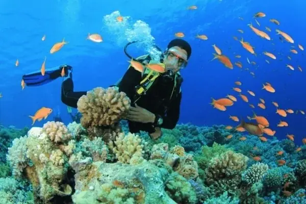 Discover Scuba Diving — view 4
