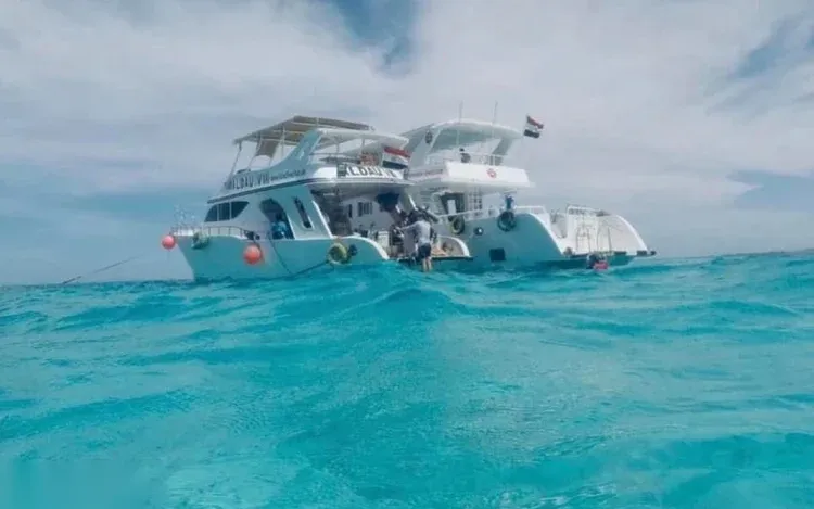 Dolphin Reef Snorkeling Tour