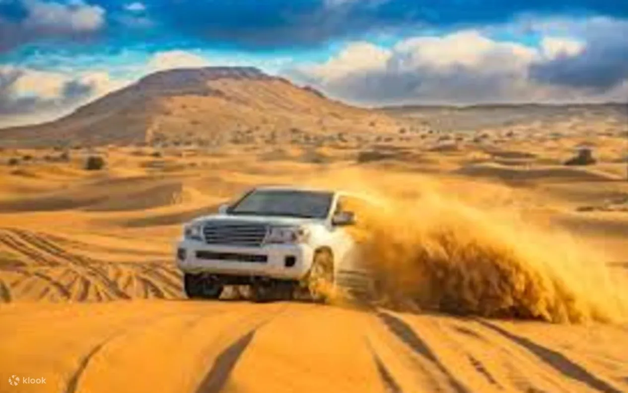 Fayoum Oasis & Wadi El-Rayan Waterfalls Tour