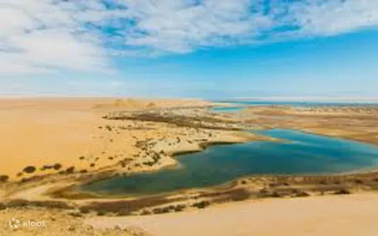 Fajoem-oase en Wadi El-Rayan watervallen tour — view 2