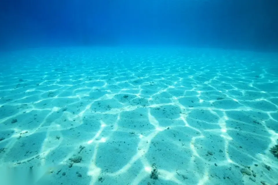 Giftun Sziget Snorkeling Kirándulás — view 5