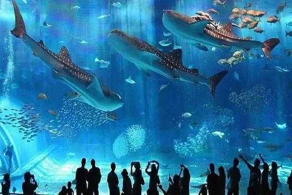 赫尔格达大水族馆之旅 — view 2