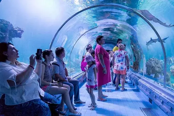 赫尔格达大水族馆之旅 — view 4