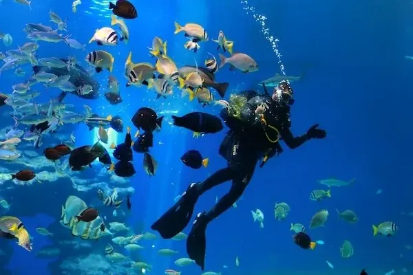 PADI Advanced Open Water — view 5