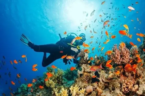 PADI Diving Excursion — view 3