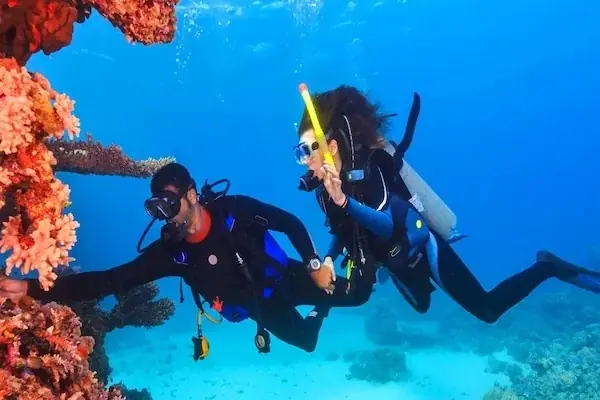 PADI Diving Excursion — view 5