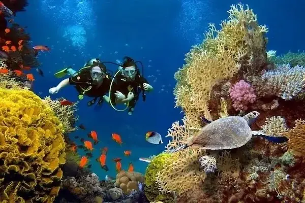 PADI Dry Suit Diver — view 2