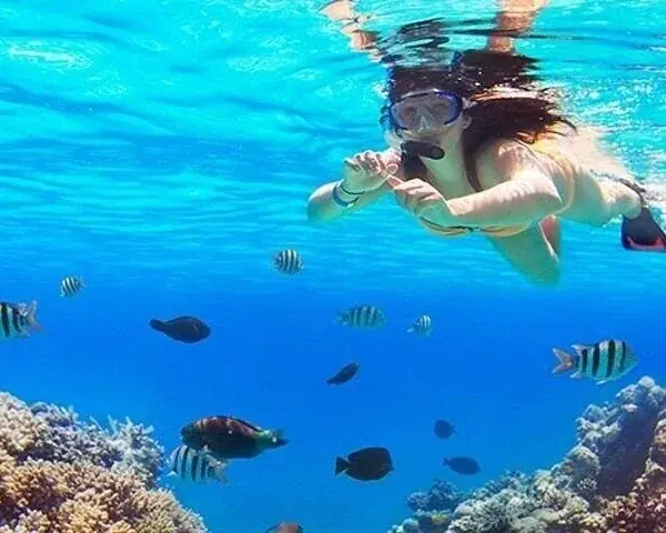PADI Junior Open Water — view 2