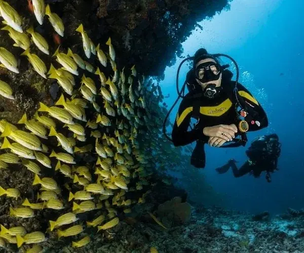 PADI Junior Open Water — view 3