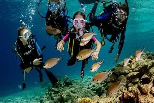 PADI Open Water Diver — view 2