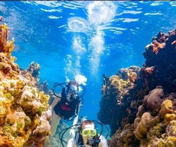 PADI Rescue Diver — view 5