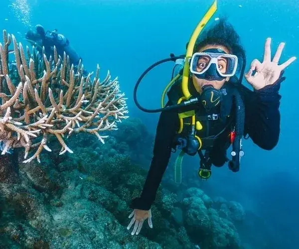 PADI Side Mount Diver — view 2