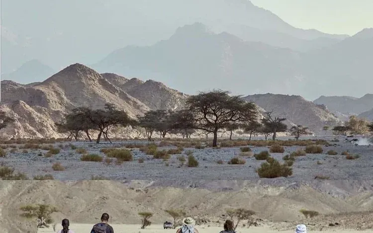 Private Wadi El Gemal National Park Safari — view 3