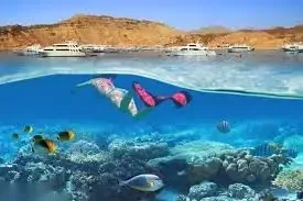 Ras Mohammed Nemzeti Park snorkelezős hajókirándulás