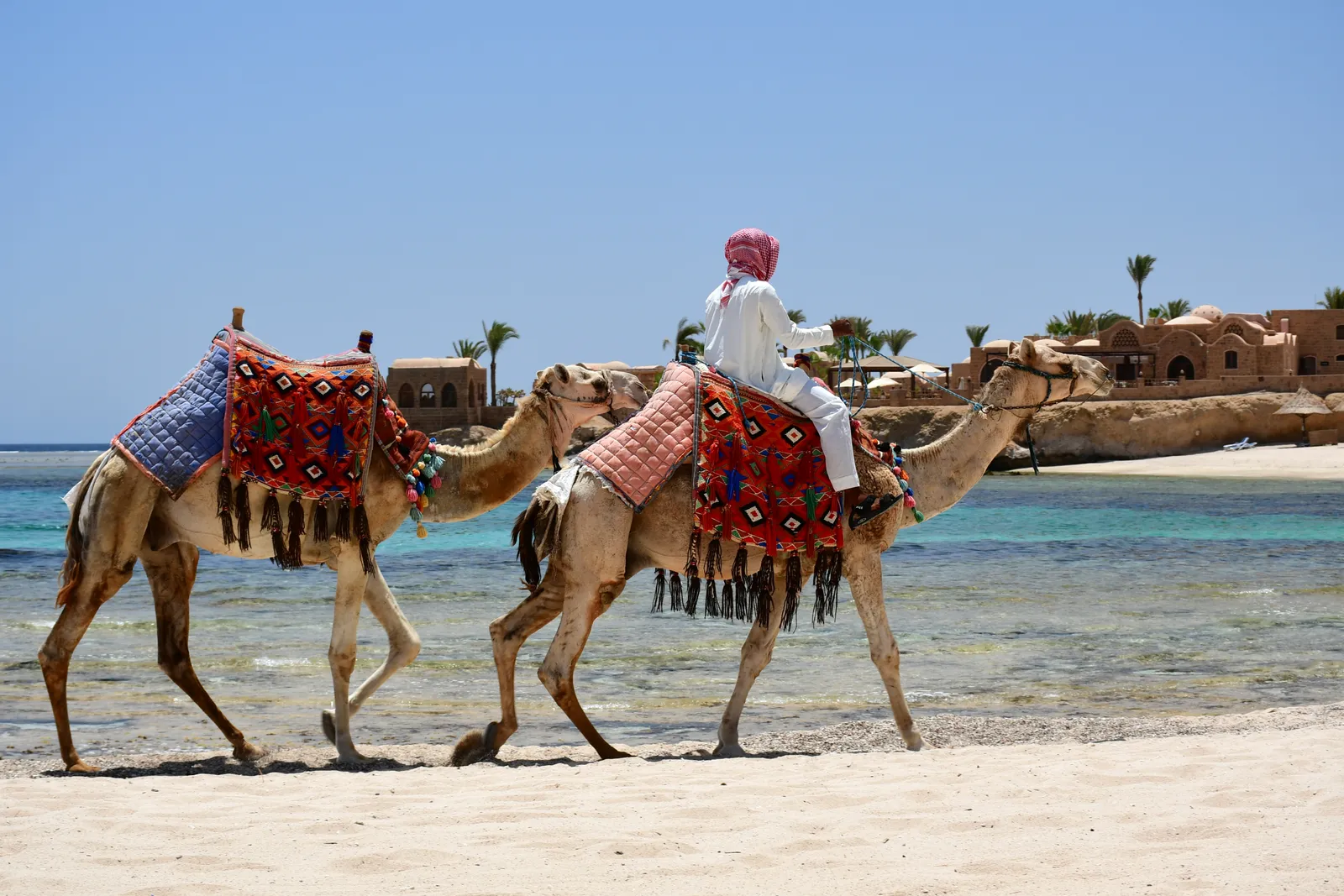 Ras Um Sid és Naama Bay snorkelezős félnapos kirándulás — view 4