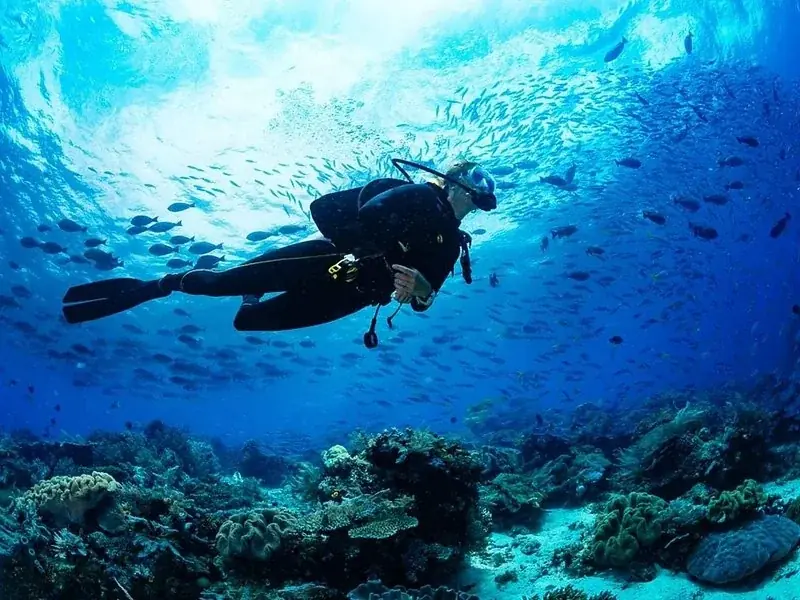 红海潜水探险