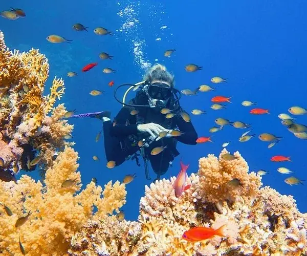 SDI Open Water Diver