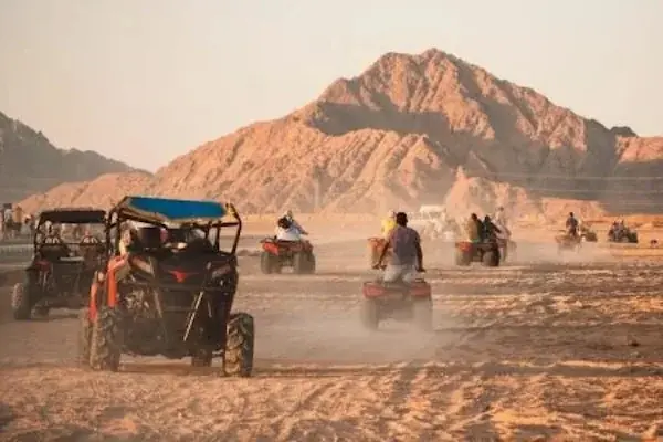Super Excursion Safari — view 5