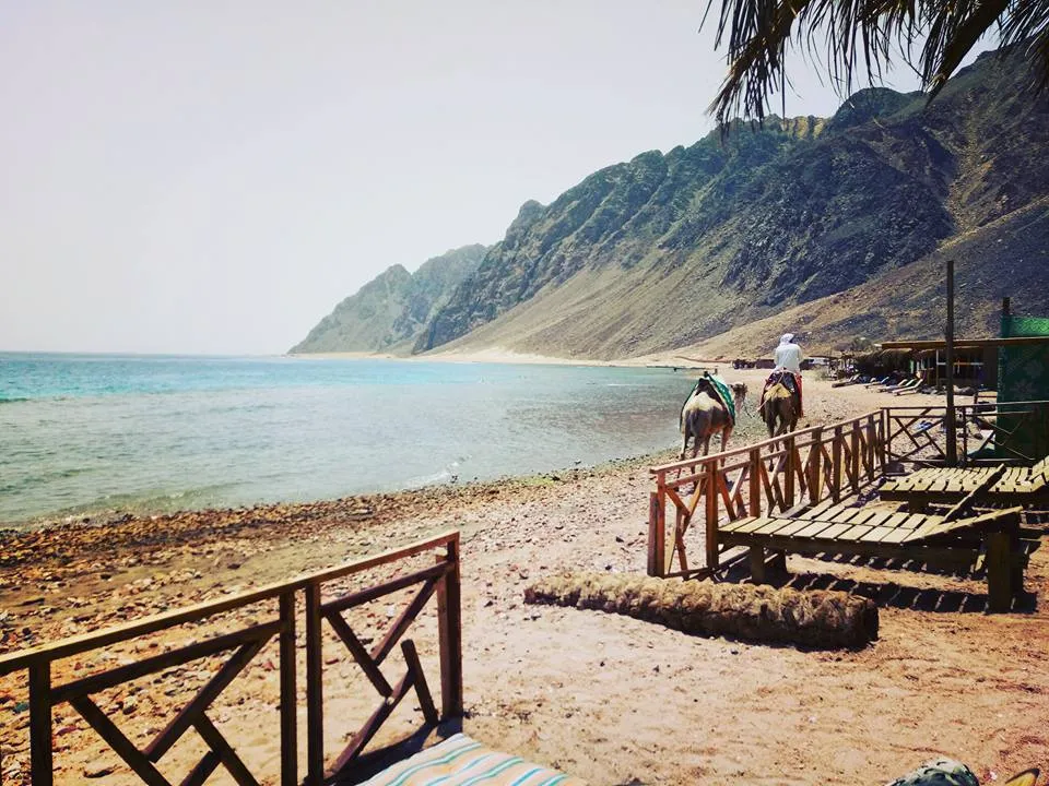 Excursion Snorkeling Three Pools & Blue Lagoon — view 5