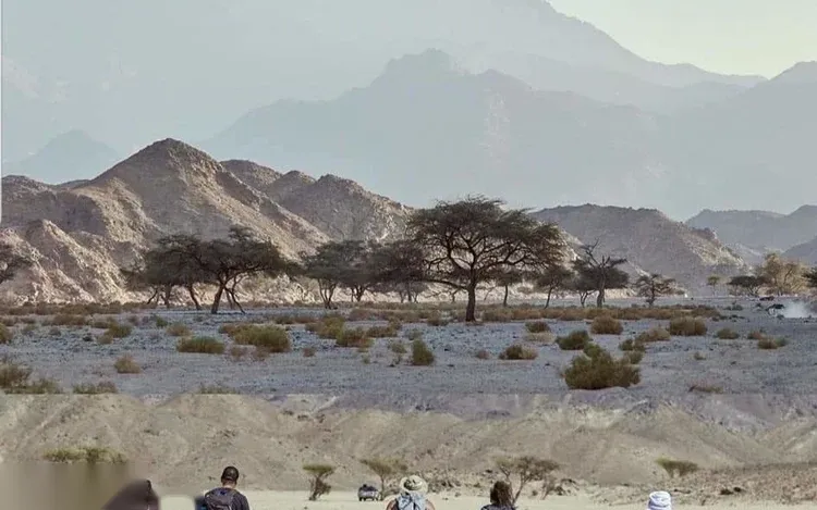 Safari Wadi El Gemal Nationaal Park