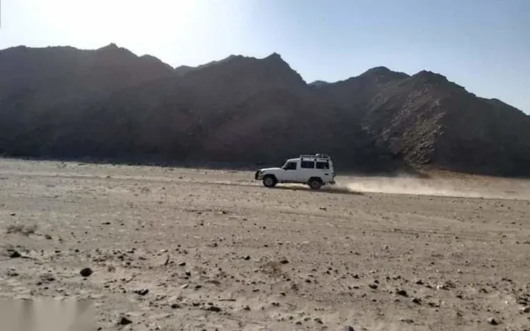 Safari Wadi El Gemal Nationaal Park — view 4