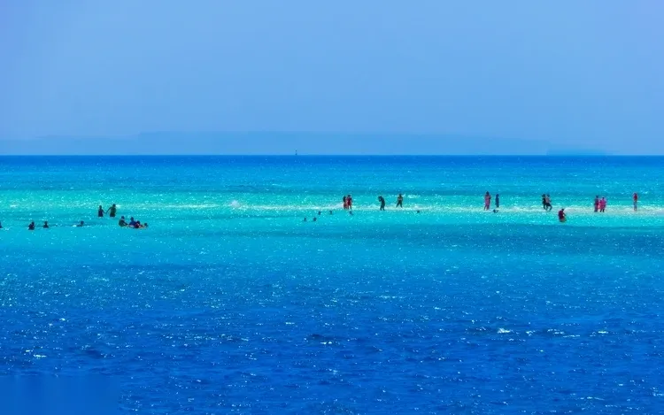 White Island és Ras Mohammed kombinált hajókirándulás — view 3